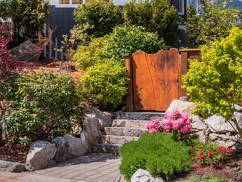 garden-800 garden with walk, stone steps and wooden gate